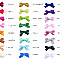 Vintage Velvet Mini Bow Hair Clips