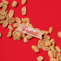 PREORDER Peanut Hair Clip