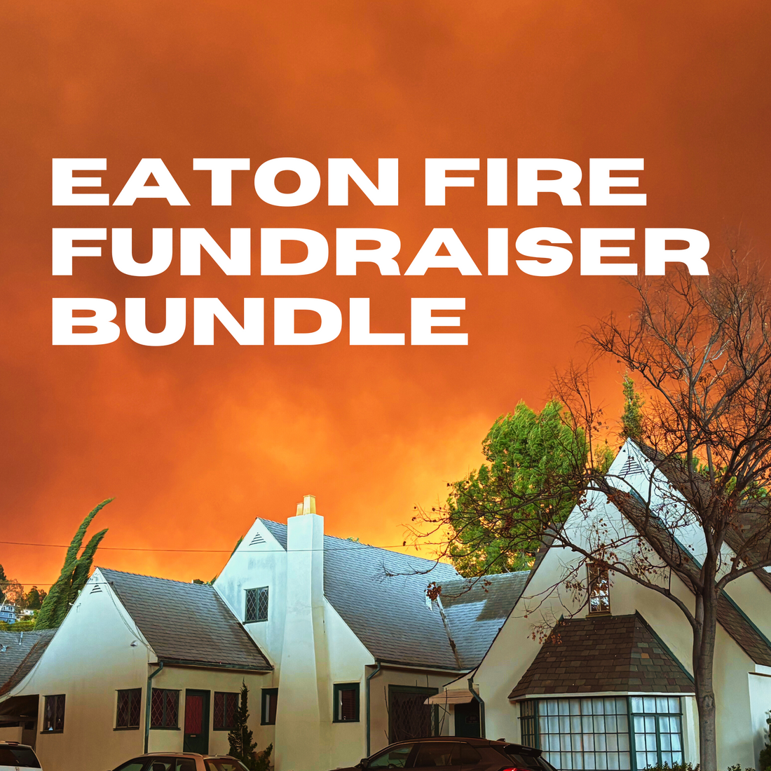 Eaton Fire Fundraiser Bundle